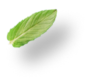 Organic Basil for Natural Health Shots